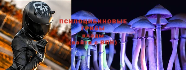 хмурый Гусев