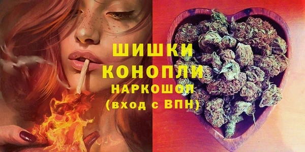 spice Горняк