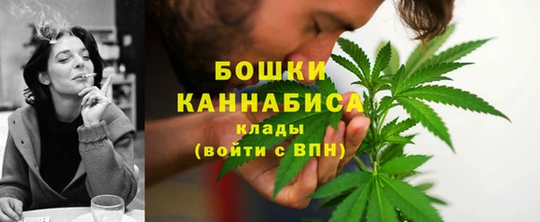 хмурый Гусев