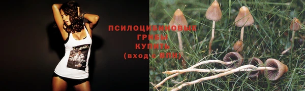 spice Горняк