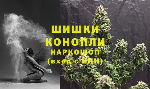 spice Горняк