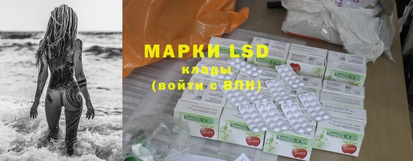 spice Горняк