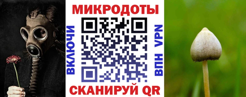 цены   Дальнегорск  Галлюциногенные грибы GOLDEN TEACHER 